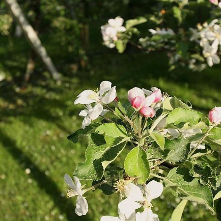 Pension Bauernhof Spielmann Mieming Kültér fotó